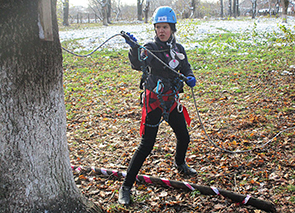 ���������� ������ ���������� ������ �� ����������� ������� � ��������� ������ �� ����������� ������� 