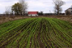 � ������� ������ �������� �������-������� ������