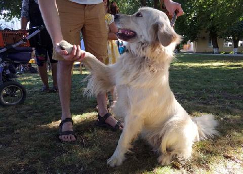 � ������ ��� �������� ������ ������ �������� �������� ��������  