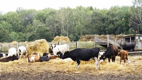 � ������������ ������ ����������