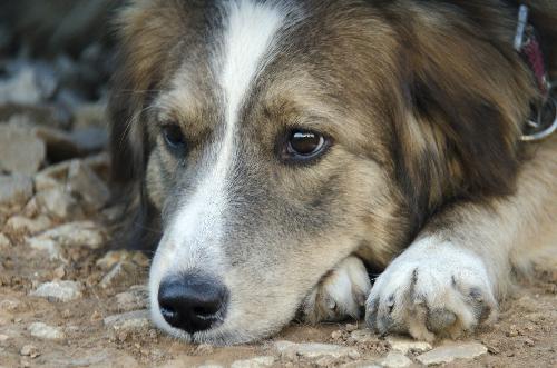 � ����������� �������� ��������� 31 ����� ����� ����������� ����� ��������� �����