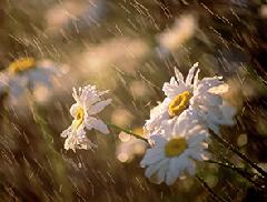 ������� ������ �� 23 ����