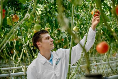 ��������� �������� �������� ������ ���� ���������� ������������� ������� ������������������� �����