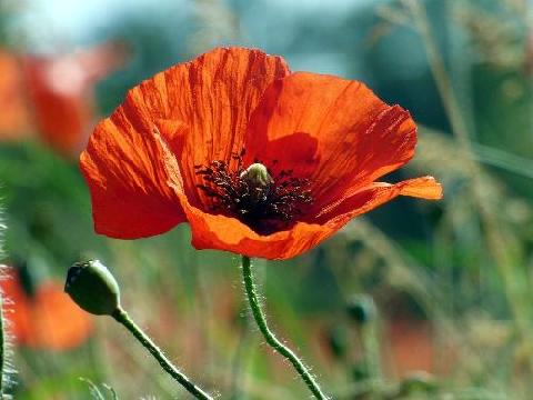 ������ � �������������� � ������������ �������������? �������!