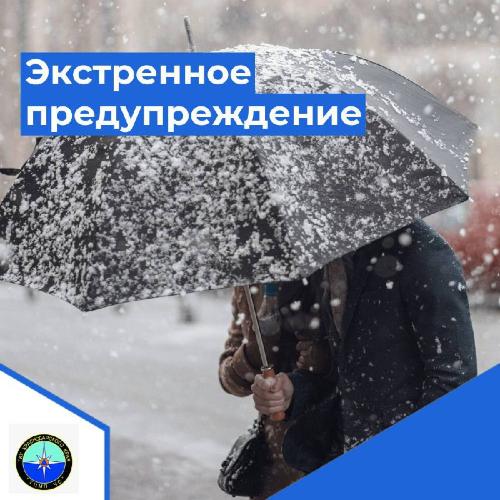 � ������������� ���� ��������� ��������� ��������������