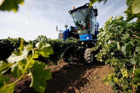 ������������ ����������������� ��������� ������ � 2021 ���� ��������� 10,6 ���� ������