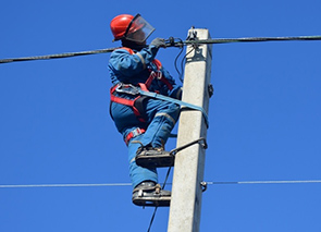 ������������ ������� 205 ��������� �� �������� ����������� �������������� ������������