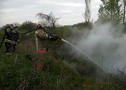 � ������� ������ � ������ ���� ���