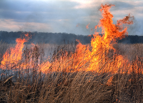 � 1 ������ �� ������ ������ ������������� ������