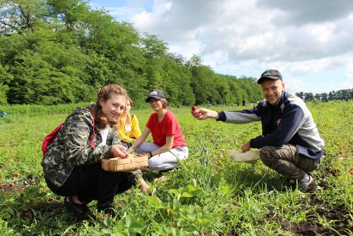 � ������� ������ �������� �������� �� ��������������� ���������� �� ������ ������ �������