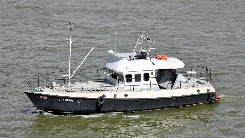 ����� ���� �����������