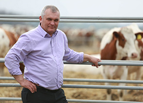 ���� ��������� ������ �������� 25-����� �� ��� ����������� ������������� ���������