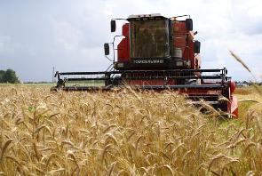 ������� ���� ����� � ������� ������ �������� 230 ����� ����