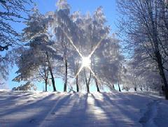 �� ������ ������ ������