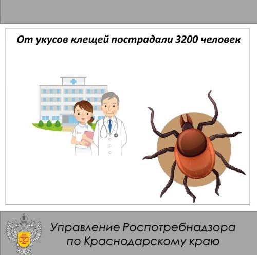 �� ������ ������ � ������������� ���� ���������� 3200 �������
