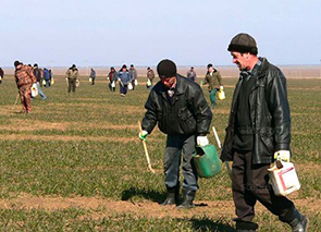 ��������� ������ �������� ��������� ����� �� ��������