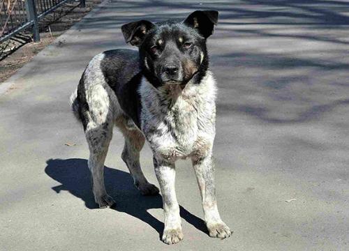 23 �������� � ������� �������� ��������� ����� ����������� ����� ��������� �����  