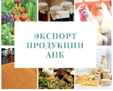 ���������  �������� ������  ������� ������� � ��������-���������