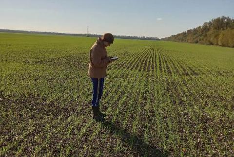 ������ � ������� ������ ������� ���������� �������