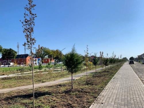 � ������ �� ������ ����� ������� �������