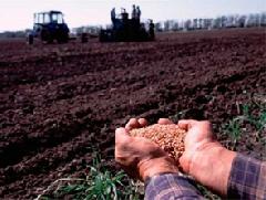 ������ ��� ������ ������������ �������