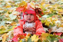 ������� ������ �� 14 ��������