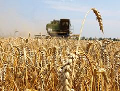 ��������� ���� ��������� ��������� �������