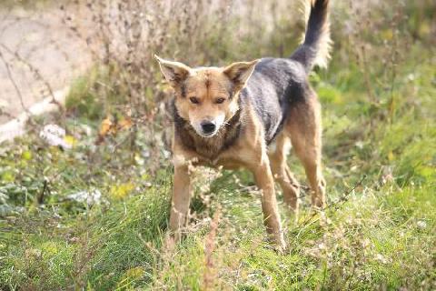 � ������������� ������������� ������� ������� ������� ��������� �����