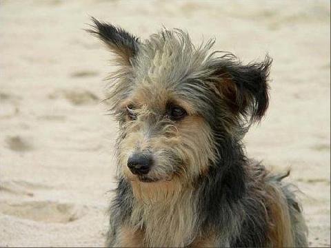 � ������� ����������� 21 ������ ����� ����������� ����� ��������� �����