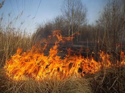 ����� ��������� ������������ � ���������������� ������ �������� ������ ����������� �� ��������� � ������������ ���� ����� �����