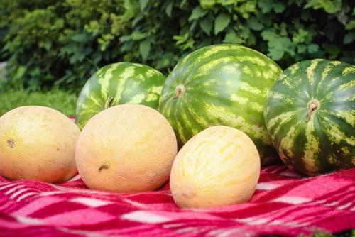 ��� �������� ������ � ����