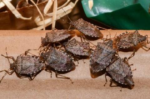 ���������� ��������� ��������� ������������� �������� ������ �������������!