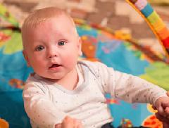 ������� �����: ����� ������ ���� ������ ������-�������