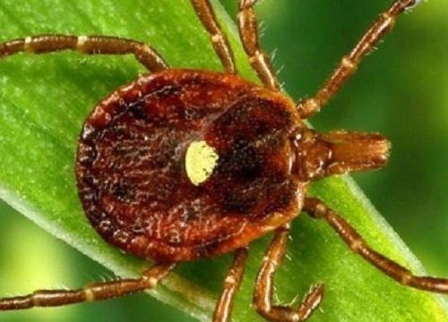 ���������: �������� ���������!