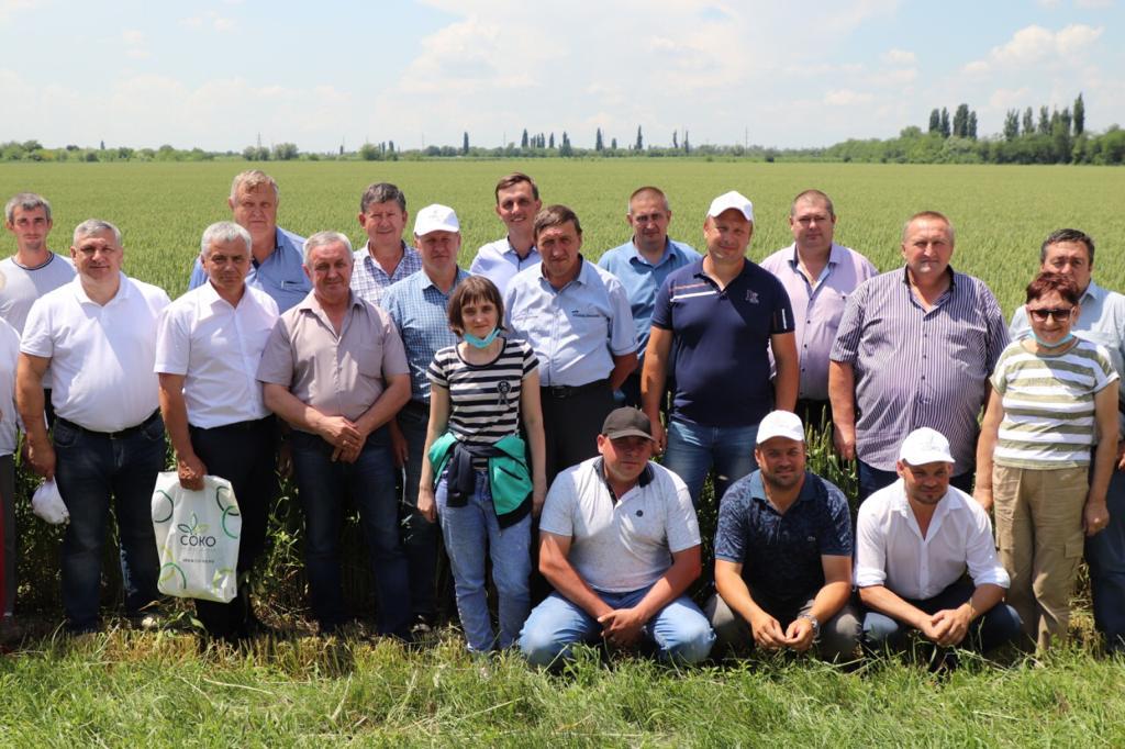 WhatsApp Image 2021-06-11 at 16.46.47.jpeg