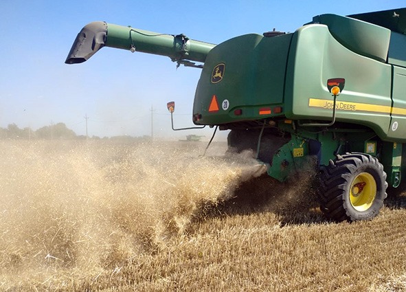 WhatsApp Image 2020-06-30 at 12.07.47 (1).jpeg