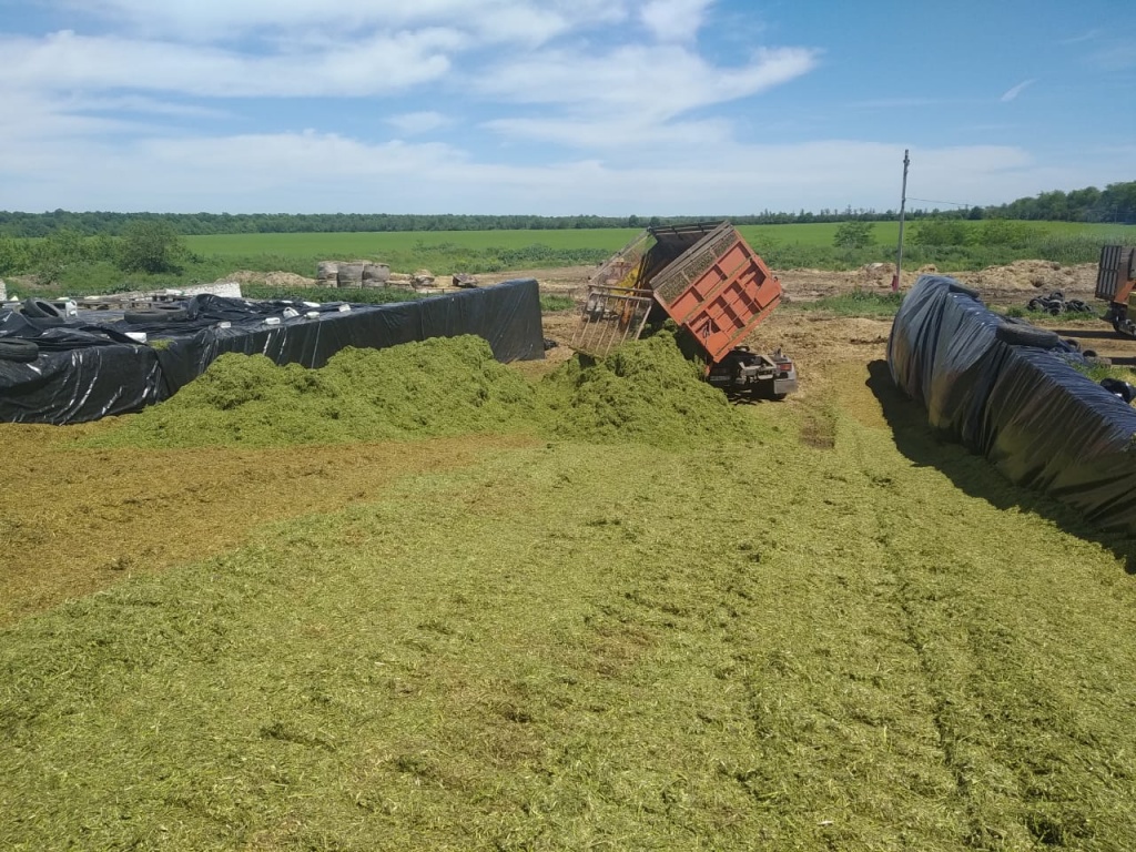 Все хозяйства Динского района, которые занимаются животноводством,  включились в работы по заготовке грубых кормов