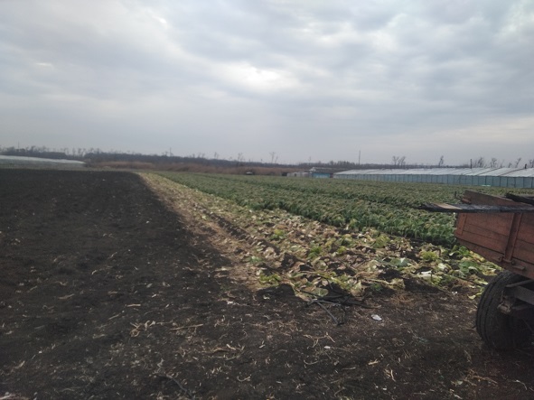 Н.Титар.3.jpg Н.Титар.3.jpg