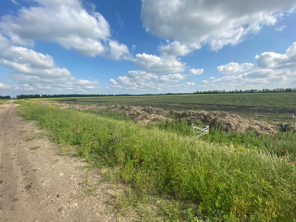 WhatsApp Image 2020-06-03 at 11.23.13.jpeg