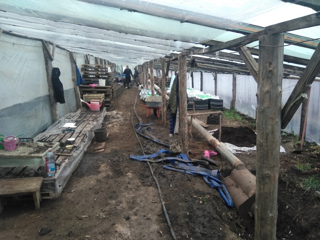 н.Вел. 6.02.2020.jpg н.Вел. 6.02.2020.jpg